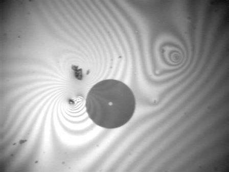 This photomicrograph shows the diffraction pattern of a thin liquid contamination on the end-face, most likely alcohol residues from improper cleaning