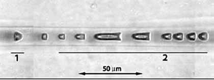 This image shows damage from contamination which was not removed prior to the fiber being irradiated with a 100mW laser. The damage reflected backwards from the contamination and melted little "bubbles" in the fiber. The bottom image shows the holes in the fiber caused by the plasma. Images courtesy the Photonics Group at the Imperial College of London