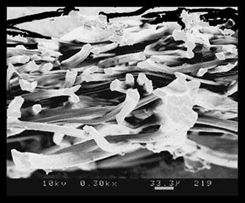 Microscopic view of paper binder
